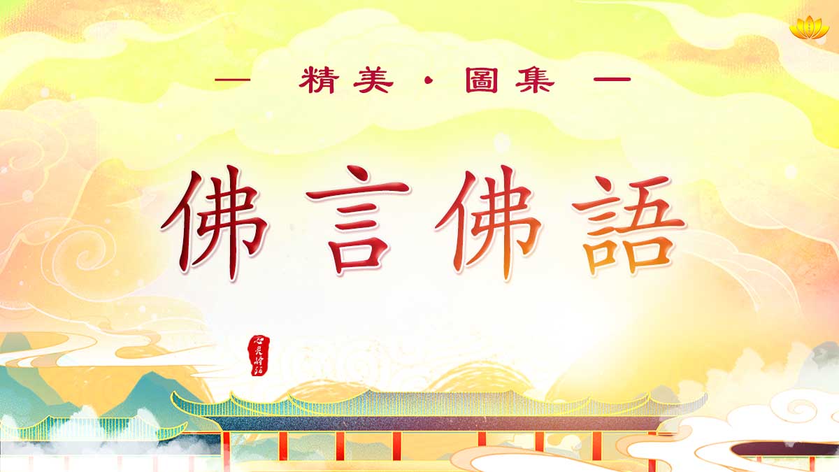 http://yp.xfgbmy.pics/user/img/photo/fyfytu.jpg